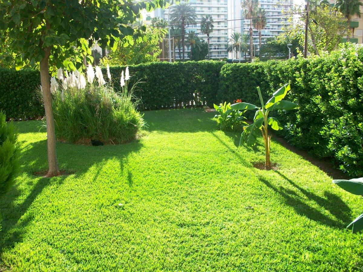 Don Ximo Gandia - Alquiler Solo Familias Appartement Playa de Gandia Buitenkant foto